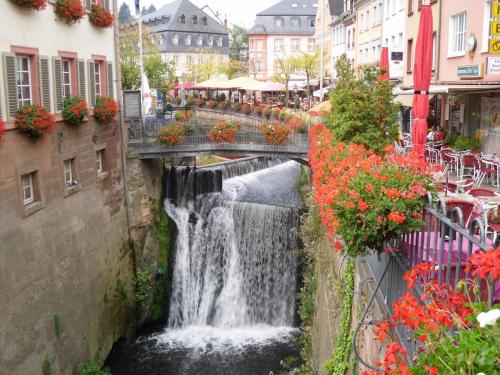 france-alsace-fleur