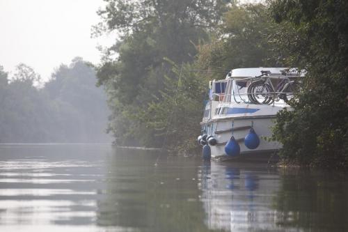 france-charente-aquitaine-tarpon